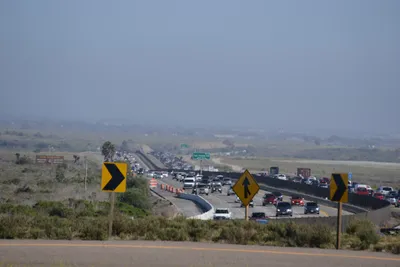 DSC_6905 (Large).JPG